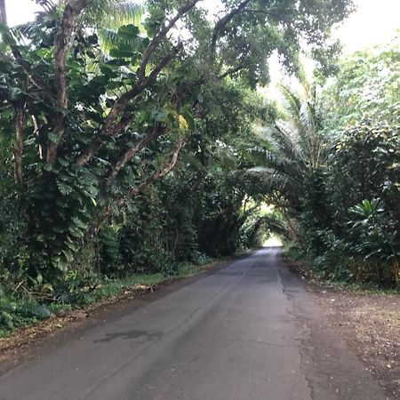 Oceanfront Cottage Near The Kalapana Lava Flows Kehena Bagian luar foto