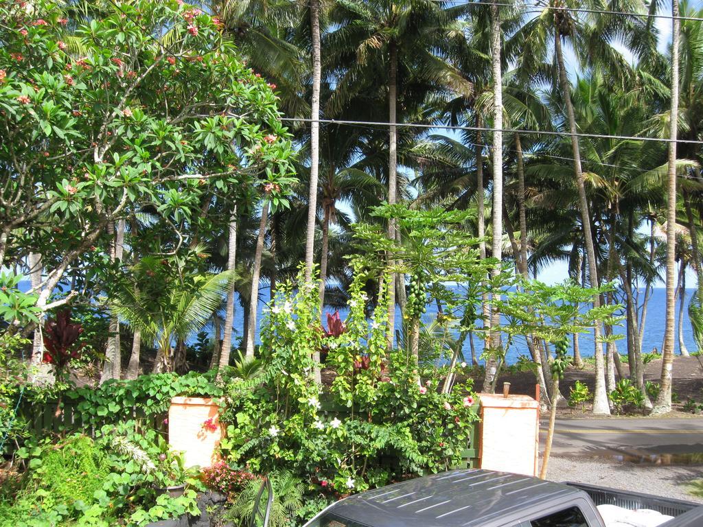 Oceanfront Cottage Near The Kalapana Lava Flows Kehena Bagian luar foto