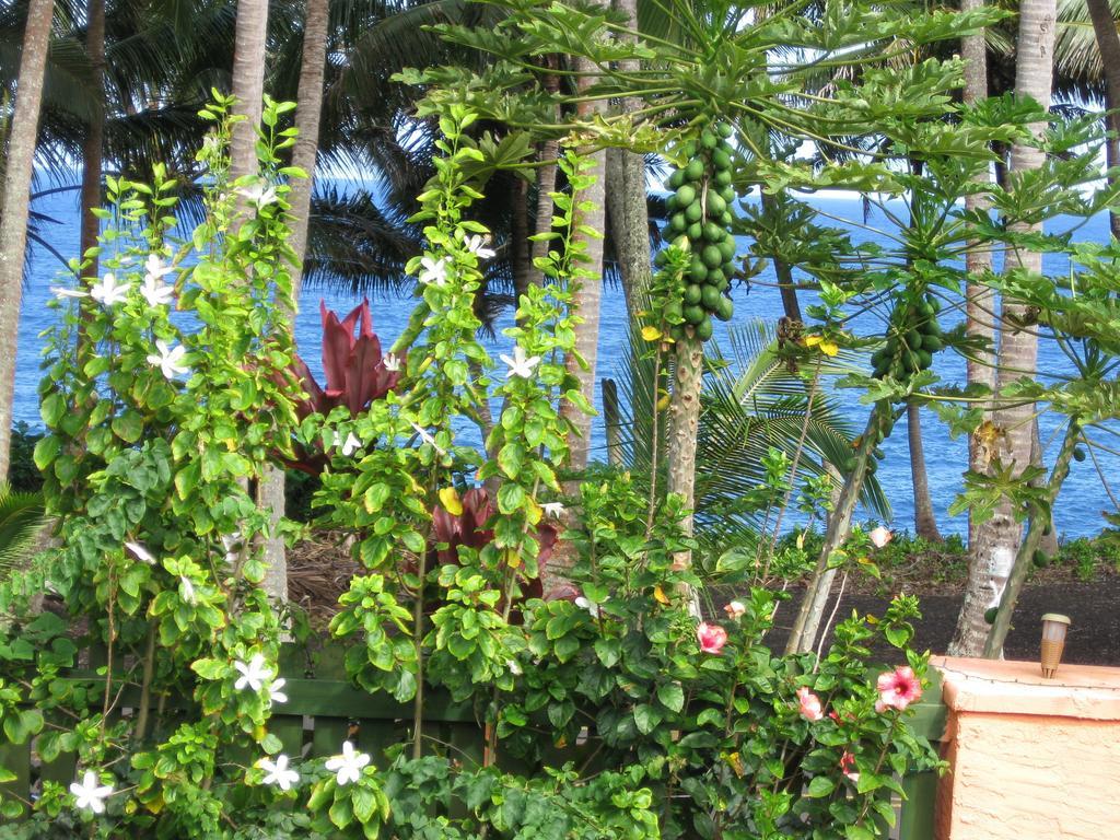 Oceanfront Cottage Near The Kalapana Lava Flows Kehena Ruang foto