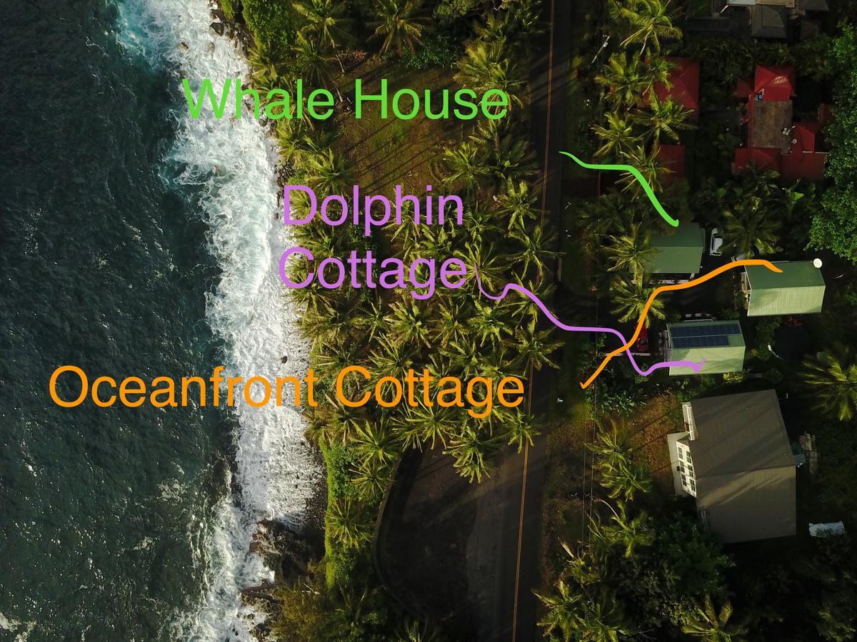 Oceanfront Cottage Near The Kalapana Lava Flows Kehena Bagian luar foto