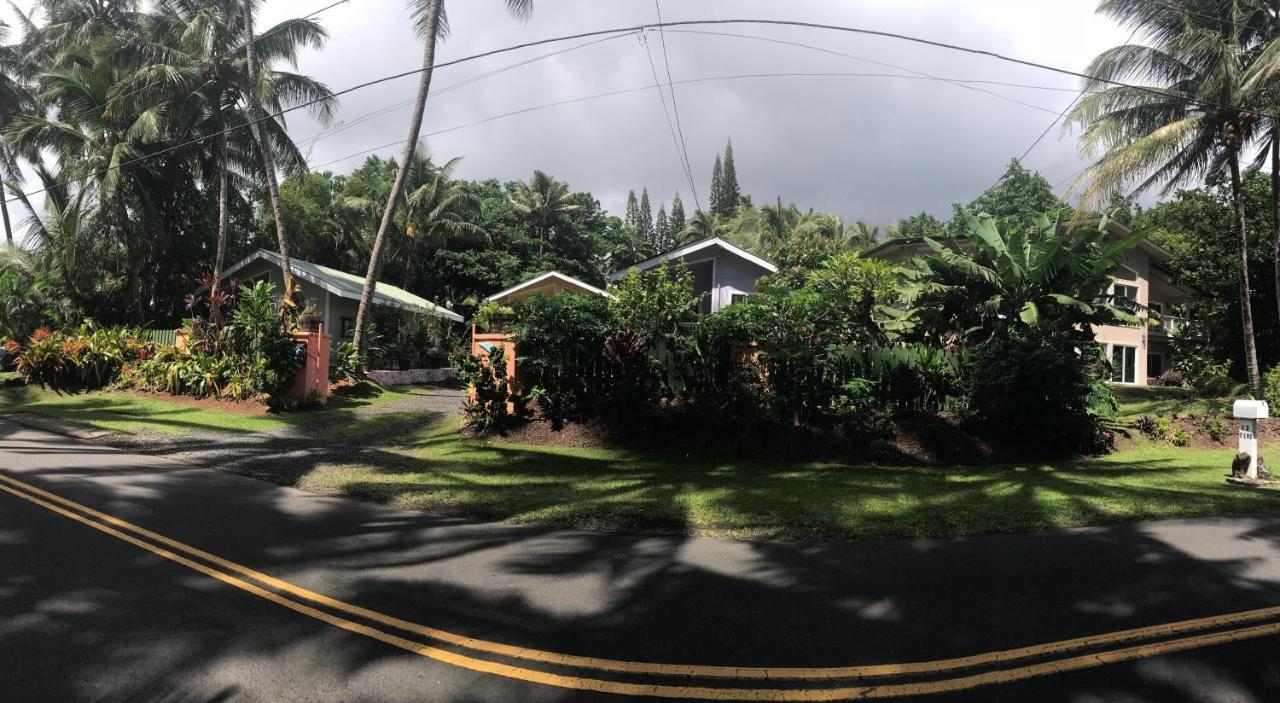 Oceanfront Cottage Near The Kalapana Lava Flows Kehena Bagian luar foto